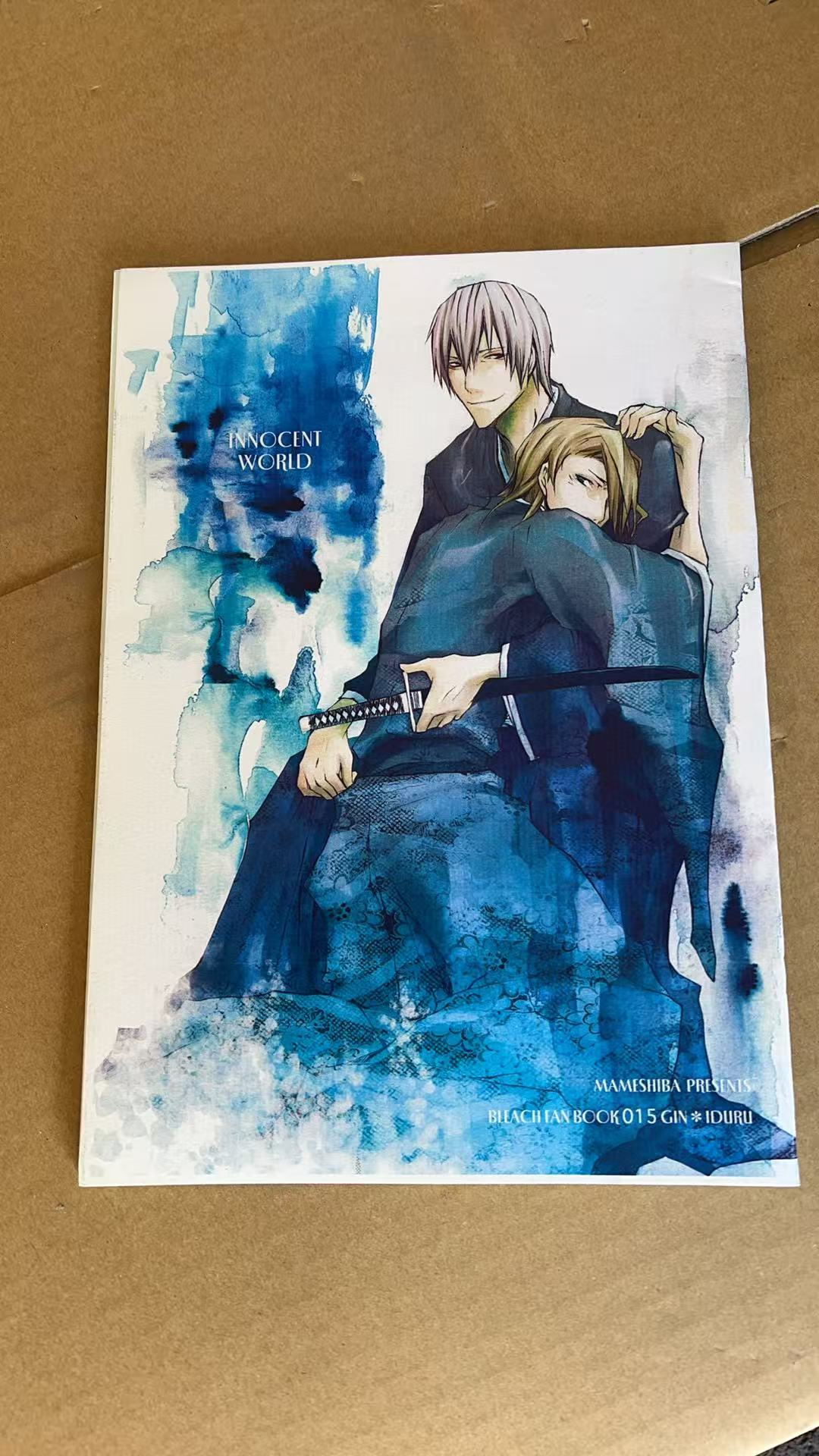 BLEACH FAN BOOK 015 GIN * IDURU